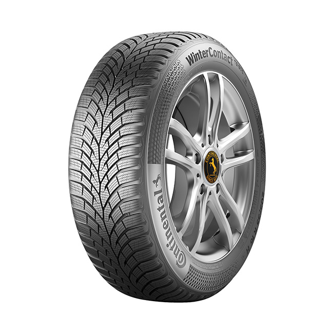 215/55 R16 CONTINENTAL TS870 97H M+S(PREPORUKA U PREMIUM KLASI)